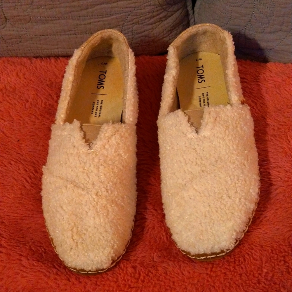 TOMS